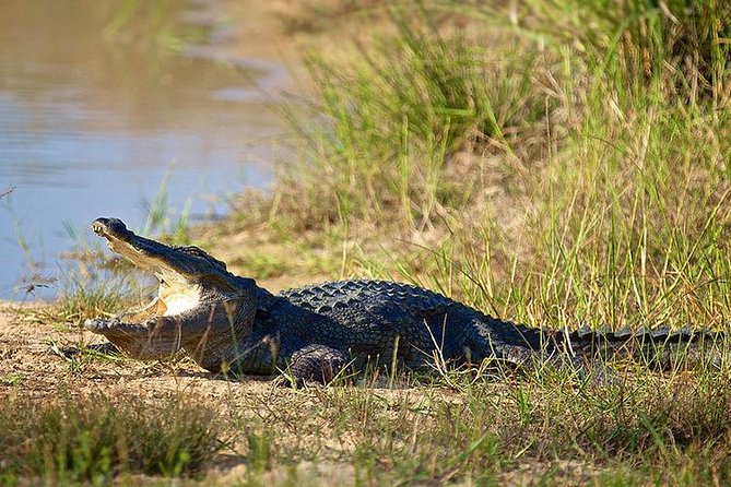 Day Tour to Wilpattu National Park from Colombo - Is the $150 price good value?