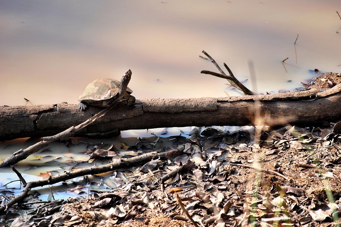Day Tour to Wilpattu National Park from Colombo - Who will enjoy this day most