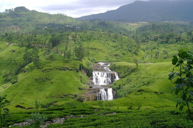 Day Trip to Nuwara Eliya with Kingfisher Tours - Gregory Lake and an hour to slow down