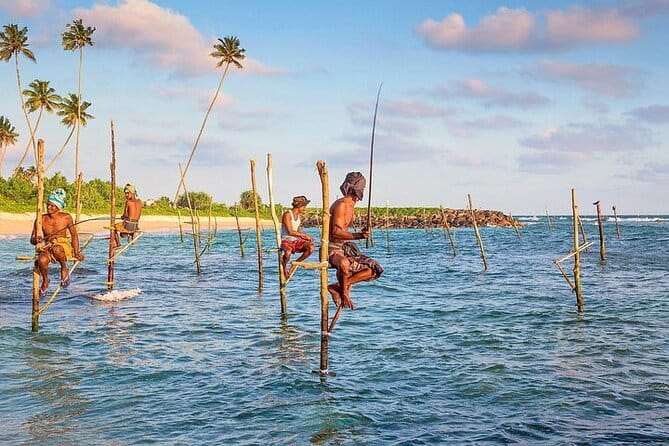 Day trips to Galle from colombo Visiting Its Highlights - Key points to know before you book