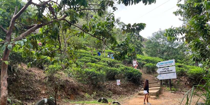 Discover the Best of Sri Lanka in 2 Days - Little Adam’s Peak and the view from above