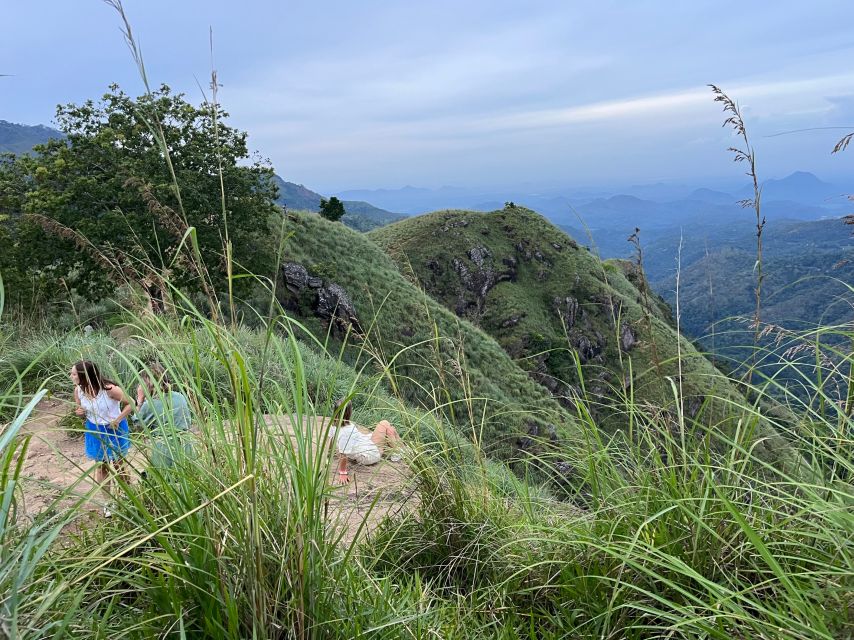 Discover the Best of Sri Lanka in 2 Days - Tea country, Ramboda, and Nuwara Eliya