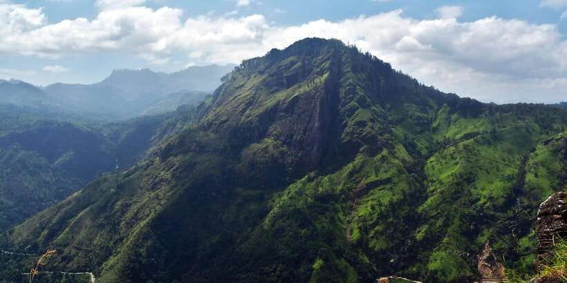 Ella: Tea Factory, Train, and Nine Arch Day Tour with Pickup - Key points before you book