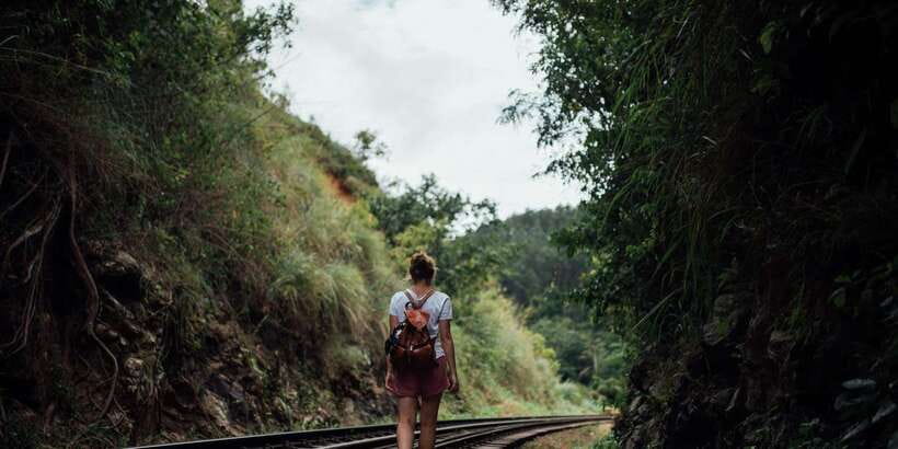 Ella: Tea Factory, Train, and Nine Arch Day Tour with Pickup - The 25-minute train ride is brief but memorable