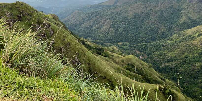 Ella: Tea Factory, Train, and Nine Arch Day Tour with Pickup - Flying Ravana Mega Zipline is an optional extra
