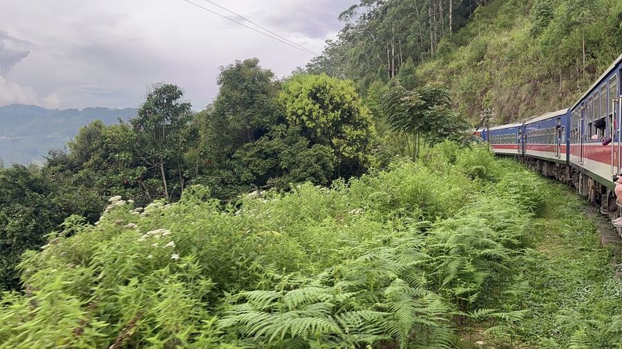 Ella: Tea Factory, Train, and Nine Arch Day Tour with Pickup - Ravana Pool Club offers a needed pause