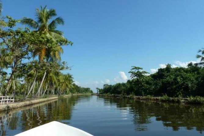 Exclusive: Muthurajawela Bird Watching Tour with Transfers - Key points to know before booking