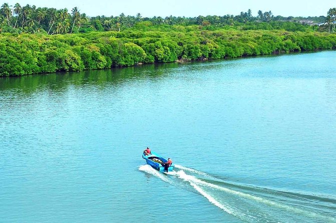 Exclusive: Muthurajawela Bird Watching Tour with Transfers - The value of the local guide
