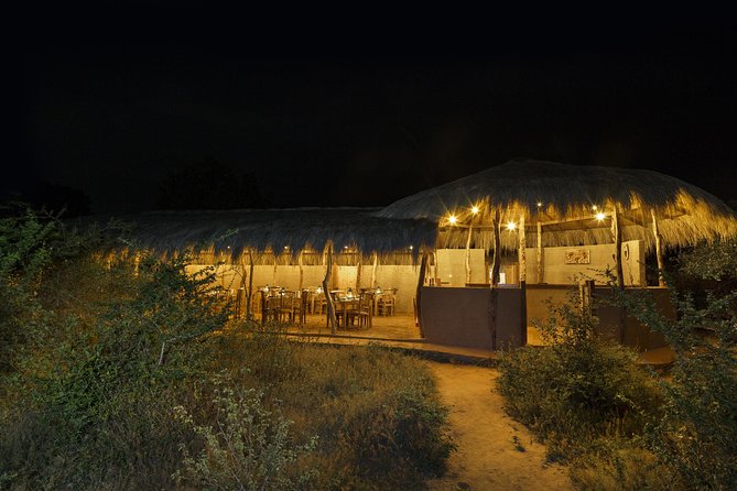 Exclusive : Overnight Leopard Safari with Luxury Glamping - Key points before you book