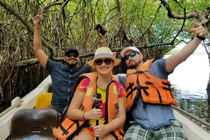 Exclusive: Southern Sri Lanka Sightseeing Private Day Trip - Who will get the most from this tour?