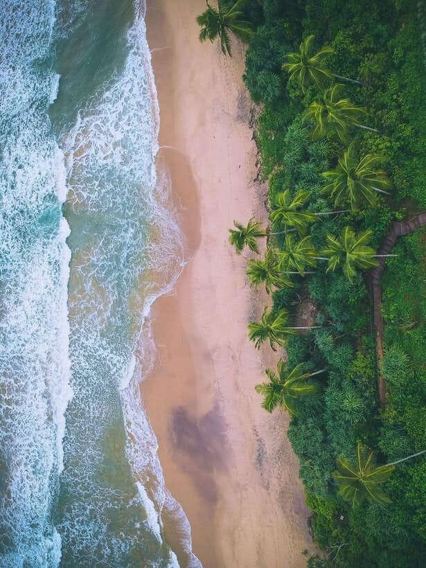 Explore the MAGIC of Sri Lanka in 7days -4 Star hotels Incl. - Day 2: Sigiriya, village life, and Dambulla