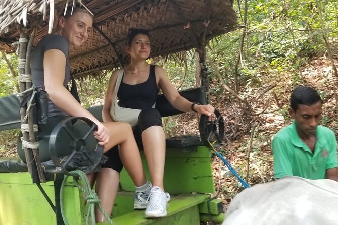 Explore Wonders of Sri Lanka 7 Days Private Tour - Day 3: Waterfalls, tea, and Nuwara Eliya
