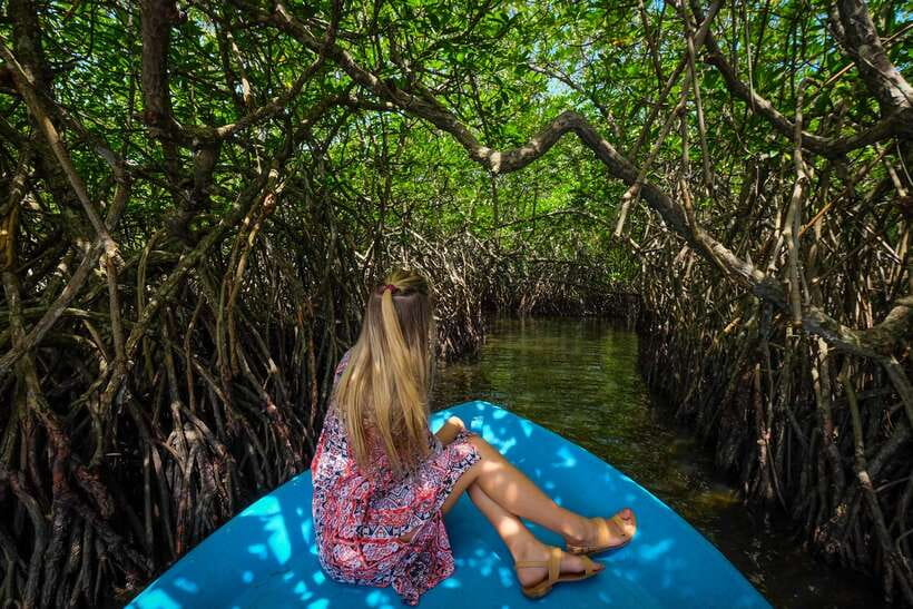 From Colombo: Galle, Bentota Coastal Highlights Private Tour - Four coastal experiences in one 10-hour day