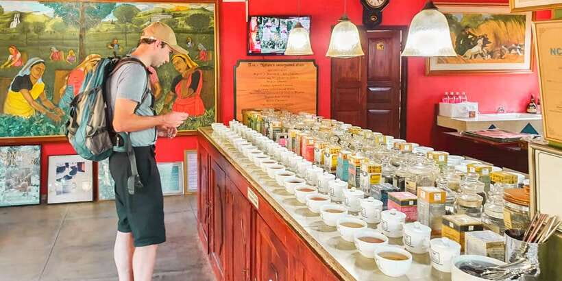 From Colombo: Handungoda, Galle, Ahangama, & Kosgoda Tour - Handunugoda Tea Factory and the white tea tradition