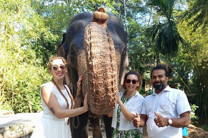 From Colombo: Kandy and Pinnawala Full-Day Trip - Key points to know before you book