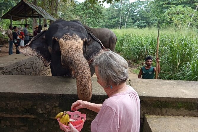 From Colombo: Kandy and Pinnawala Full-Day Trip - Entering the Temple of the Sacred Tooth Relic