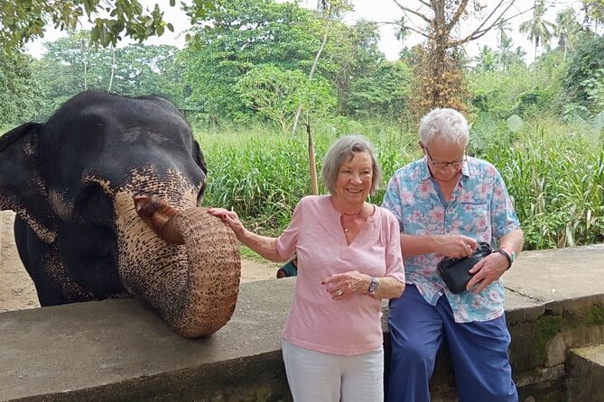 From Colombo: Kandy and Pinnawala Full-Day Trip - Pinnawala and the elephant orphanage