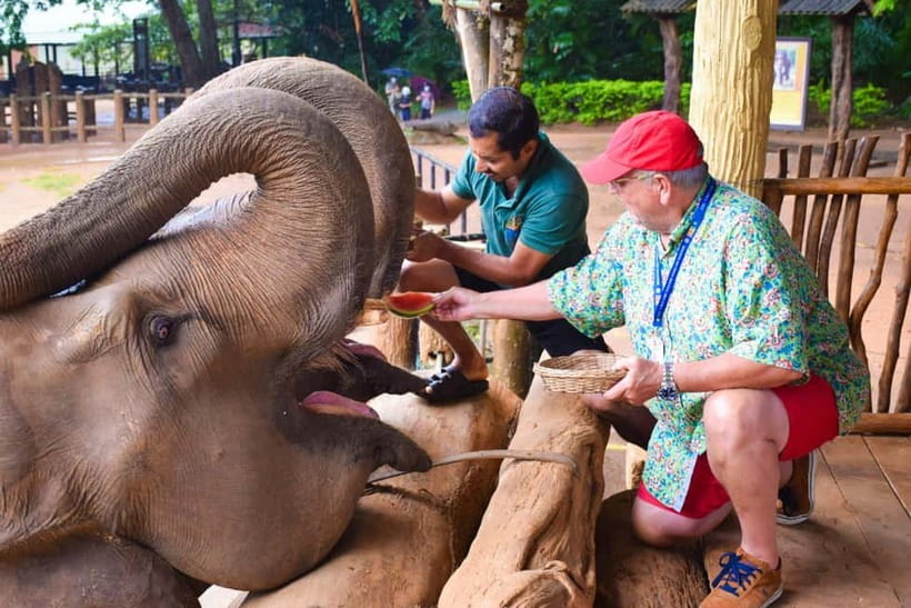 From Colombo: Kandy and Pinnawala Orphanage Short Excursions - Who should book this Colombo excursion?