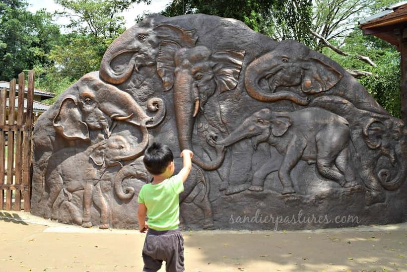 From Colombo: Kandy and Pinnawala Orphanage Short Excursions - Entering Kandy’s Temple of the Tooth