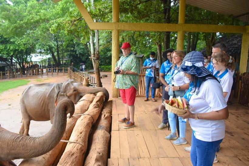 From Colombo: Kandy and Pinnawala Orphanage Short Excursions - Tea tasting and the commercial side of the route