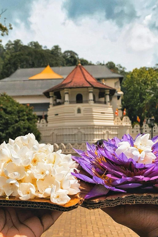 From Colombo: Kandy and Pinnawala Orphanage Short Excursions - Peradeniya’s 147 acres of plants