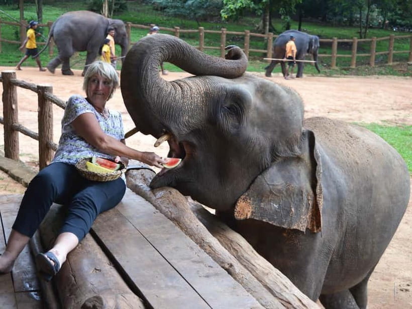 From Colombo: Kandy and Pinnawala Orphanage Short Excursions - Pinnawala and the elephant encounter