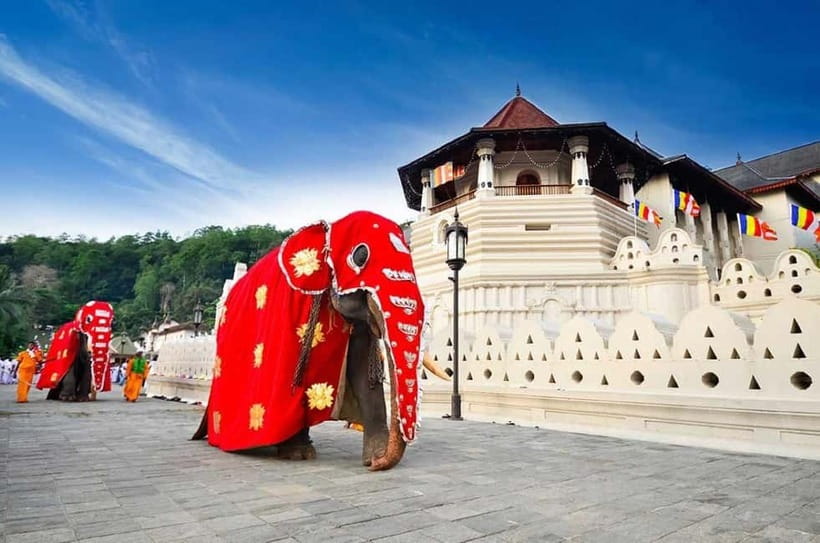 From Colombo: Kandy, Pinnawala and Tea Factory Full-Day Trip - Spice gardens and traditional treatments