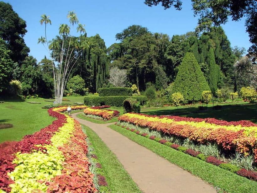 From Colombo: Kandy, Pinnawala and Tea Factory Full-Day Trip - Lunch above Kandy
