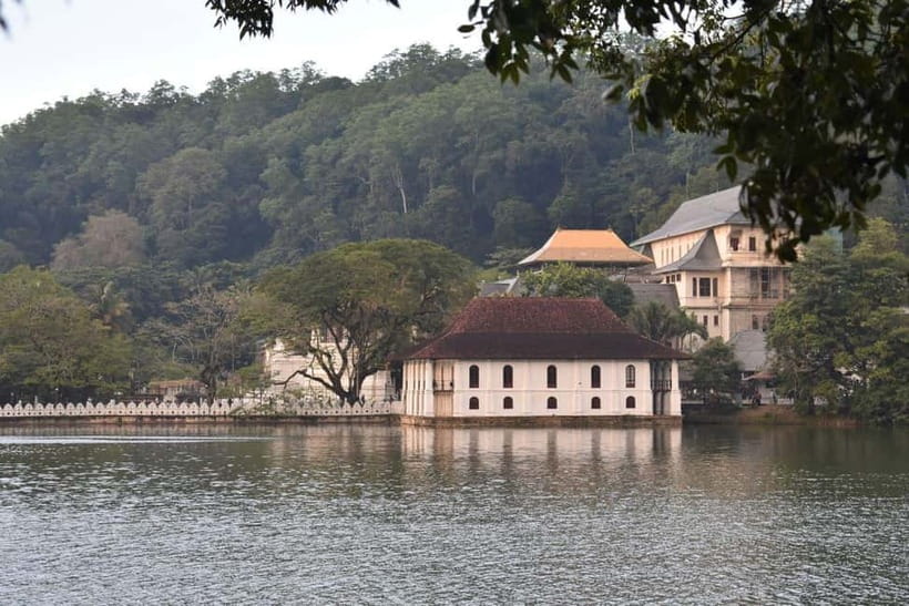 From Colombo: Kandy, Pinnawala and Tea Factory Full-Day Trip - Entering the Temple of the Sacred Tooth Relic