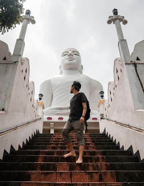 From Colombo: Kandy, Pinnawala and Tea Factory Full-Day Trip - A short lesson in Sri Lankan gems