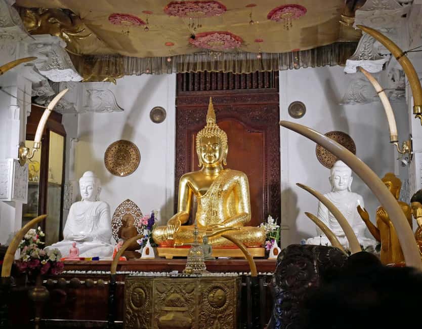 From Colombo: Kandy Temple of Tooth & Elephant Orphanage - Who should book this tour