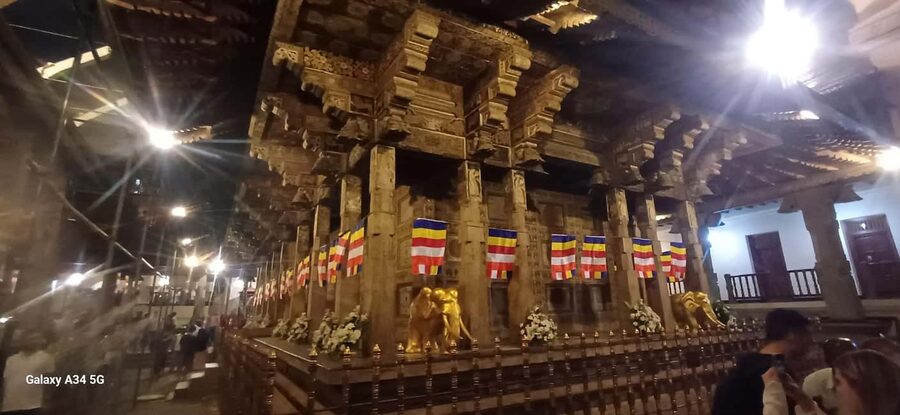 From Colombo: Kandy Temple of Tooth & Elephant Orphanage - Pinnawala and the elephant question
