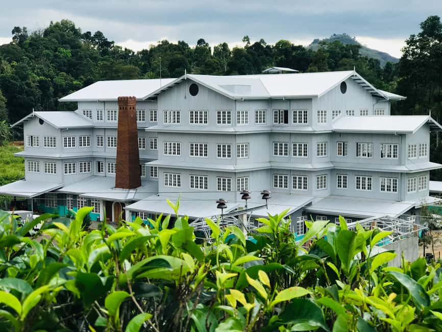 From Colombo: Kandy Temple of Tooth & Elephant Orphanage - What the $62 price really covers