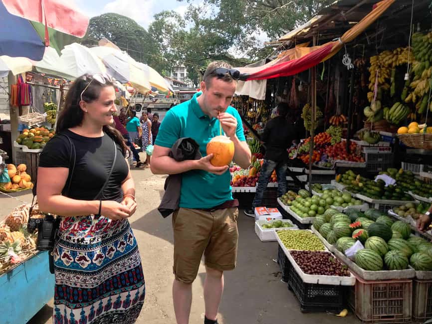 From Colombo: Kandy Temple of Tooth & Elephant Orphanage - The private guide experience can make or break the day