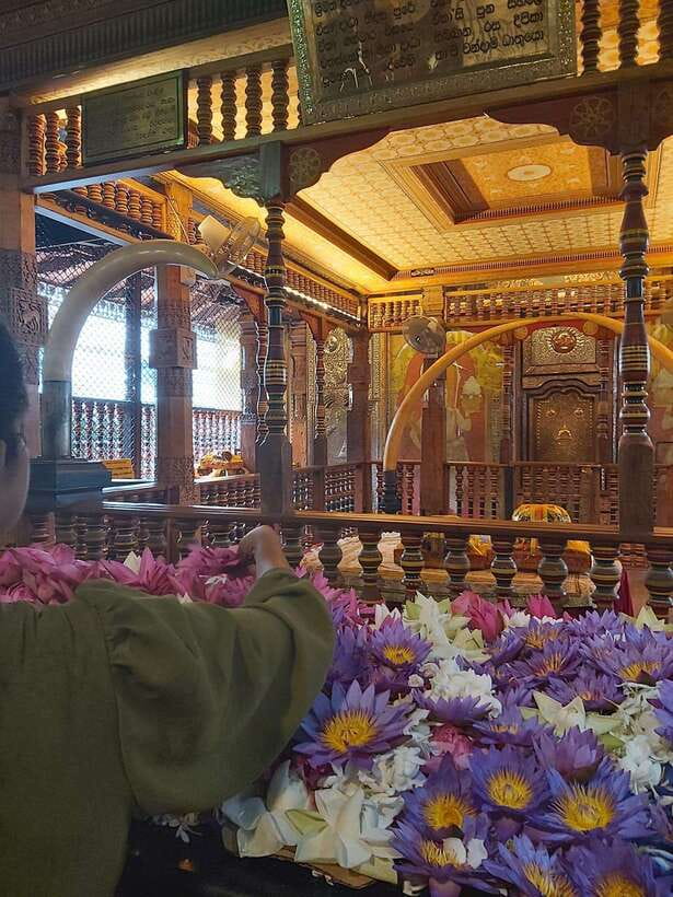 From Colombo: Kandy Temples and Pinnawala Full-Day Tour - Key points to know before booking