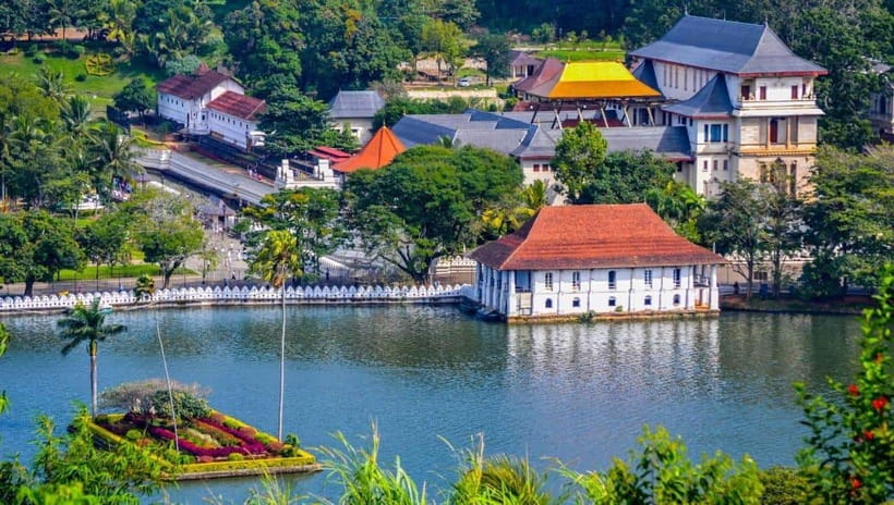 From Colombo: Kandy Temples and Pinnawala Full-Day Tour - Why the elephant stop is the day’s emotional high point