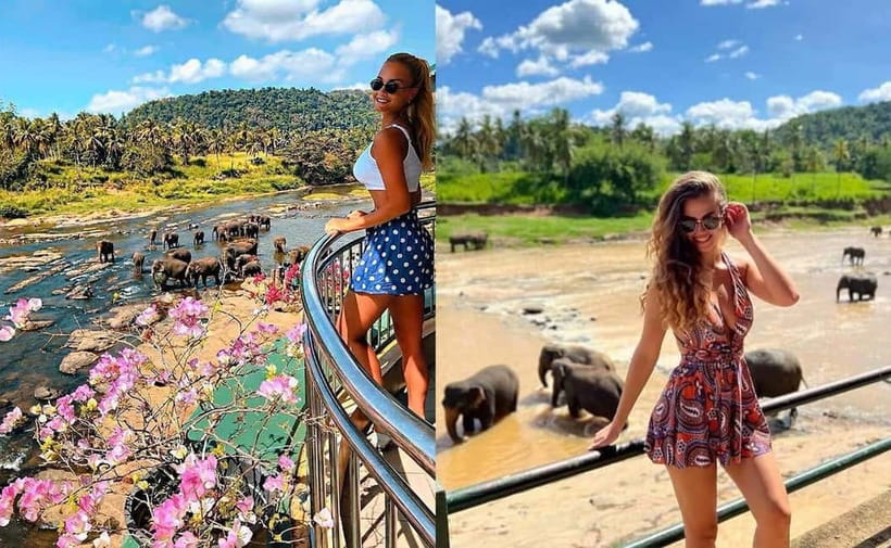 From Colombo: Pinnawala & Tea factory with Kandy Hotel Drop - Key points to know before booking