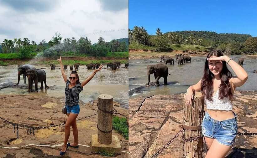 From Colombo: Pinnawala & Tea factory with Kandy Hotel Drop - Who should book this Colombo to Kandy route?