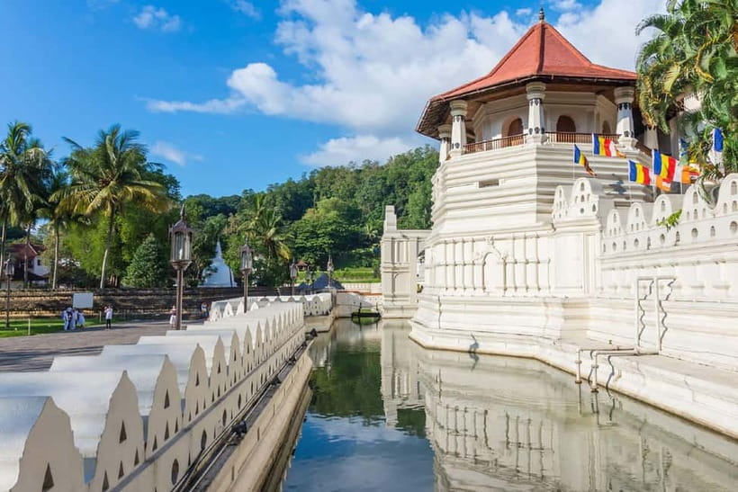From Colombo: Pinnawala & Tea factory with Kandy Hotel Drop - Giragama Tea Factory explains Ceylon tea
