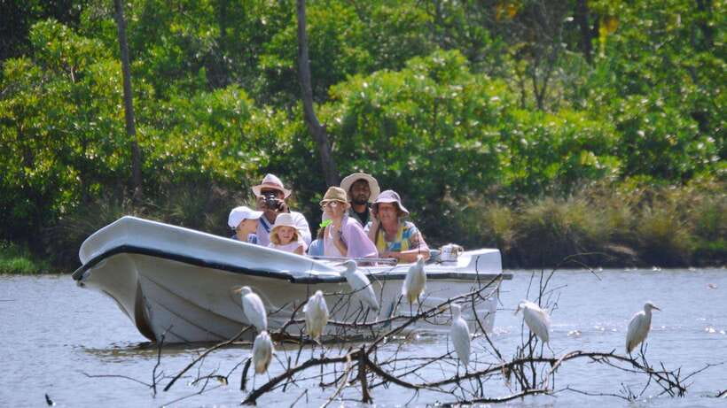 From Colombo to Galle Fort and Jungle Beach Day Trip - Key details before you book