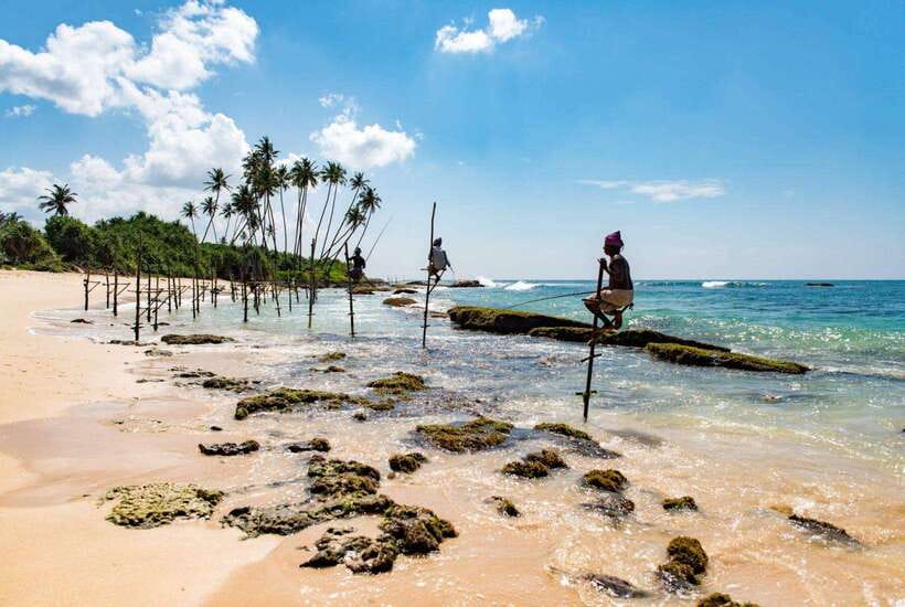 From Colombo to Galle Fort and Jungle Beach Day Trip - Hikkaduwa, turtles, and the practical conservation question