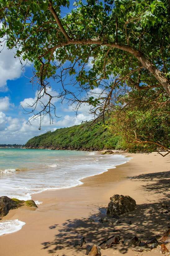 From Colombo to Galle Fort and Jungle Beach Day Trip - Jungle Beach gives you a quieter hour
