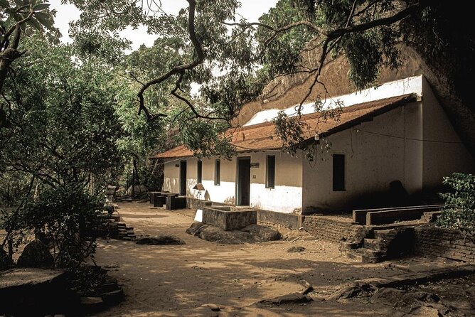 From Colombo to Sigiriya Fortress, Dambulla & Minneriya Safari - Who should book this Sigiriya day trip?