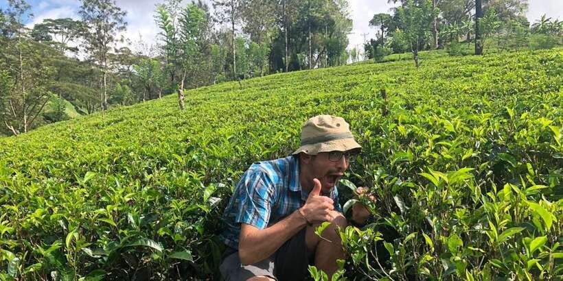 From Colombo: Virgin White Tea and Galle City Tour - Why the tea factory makes this day different