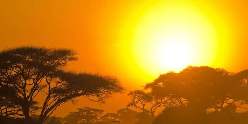 From Colombo: Yala National Park Safari with Transfer - What the Jeep safari feels like