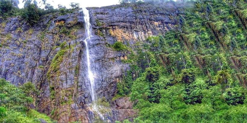From Ella: Diyaluma Falls Full-Day Tour with Lunch - Key points to know before you go