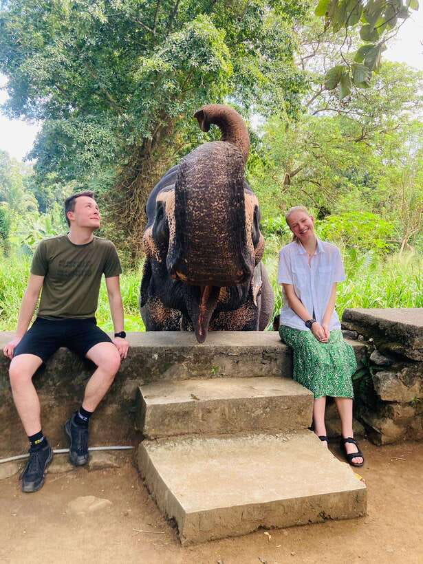 From Kandy : Pinnawala Elephant Orphanage & Ambuluwawa Tower - Why this Kandy day trip works