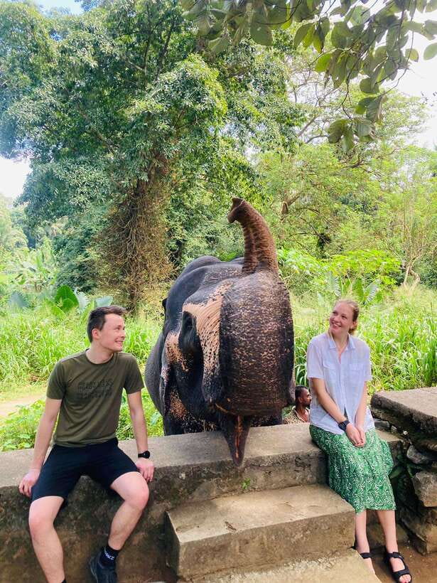 From Kandy : Pinnawala Elephant Orphanage & Ambuluwawa Tower - Royal Botanic Gardens and local craft stops
