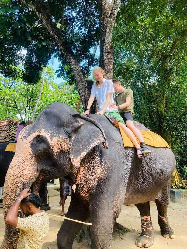 From Kandy : Pinnawala Elephant Orphanage & Ambuluwawa Tower - Starting in Kandy: temples, hills, and a high view