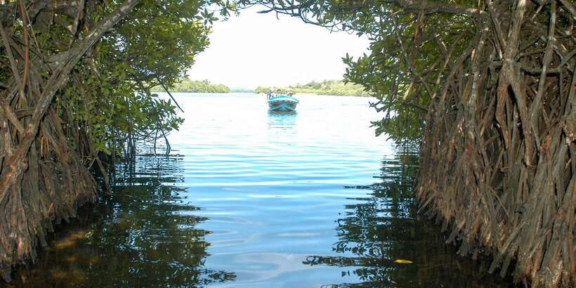 From Negombo: Bentota Full-Day Tour - Lunuganga, Geoffrey Bawa’s country home